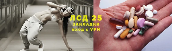 гашик Аркадак