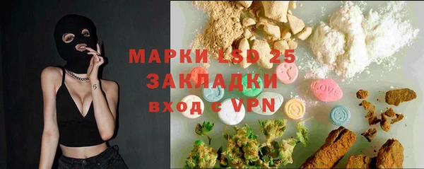 гашик Аркадак