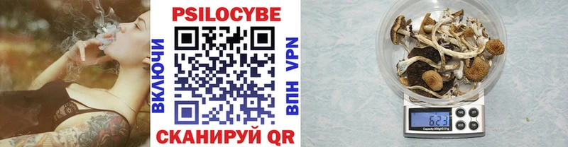 Галлюциногенные грибы мухоморы  Ельня 